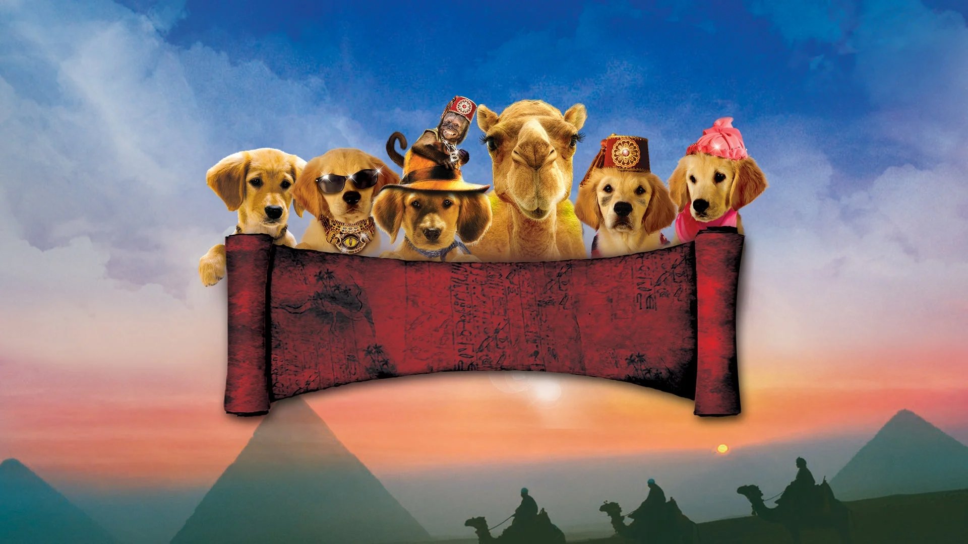 backdrops