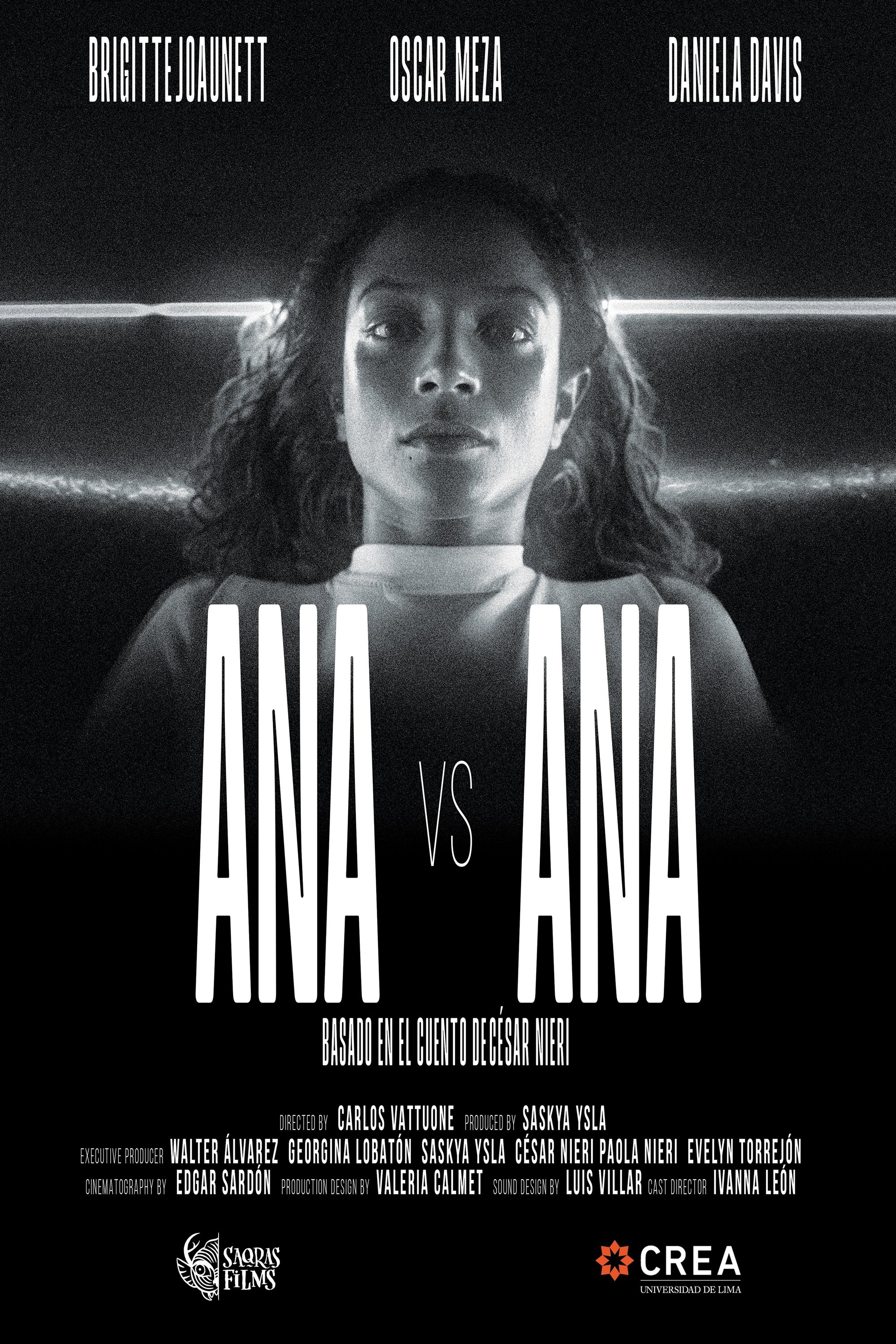 Poster de Ana vs. Ana
