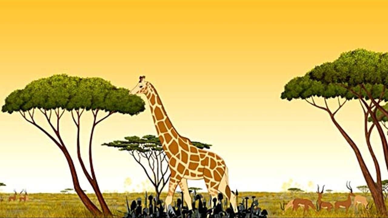 Backdrop image