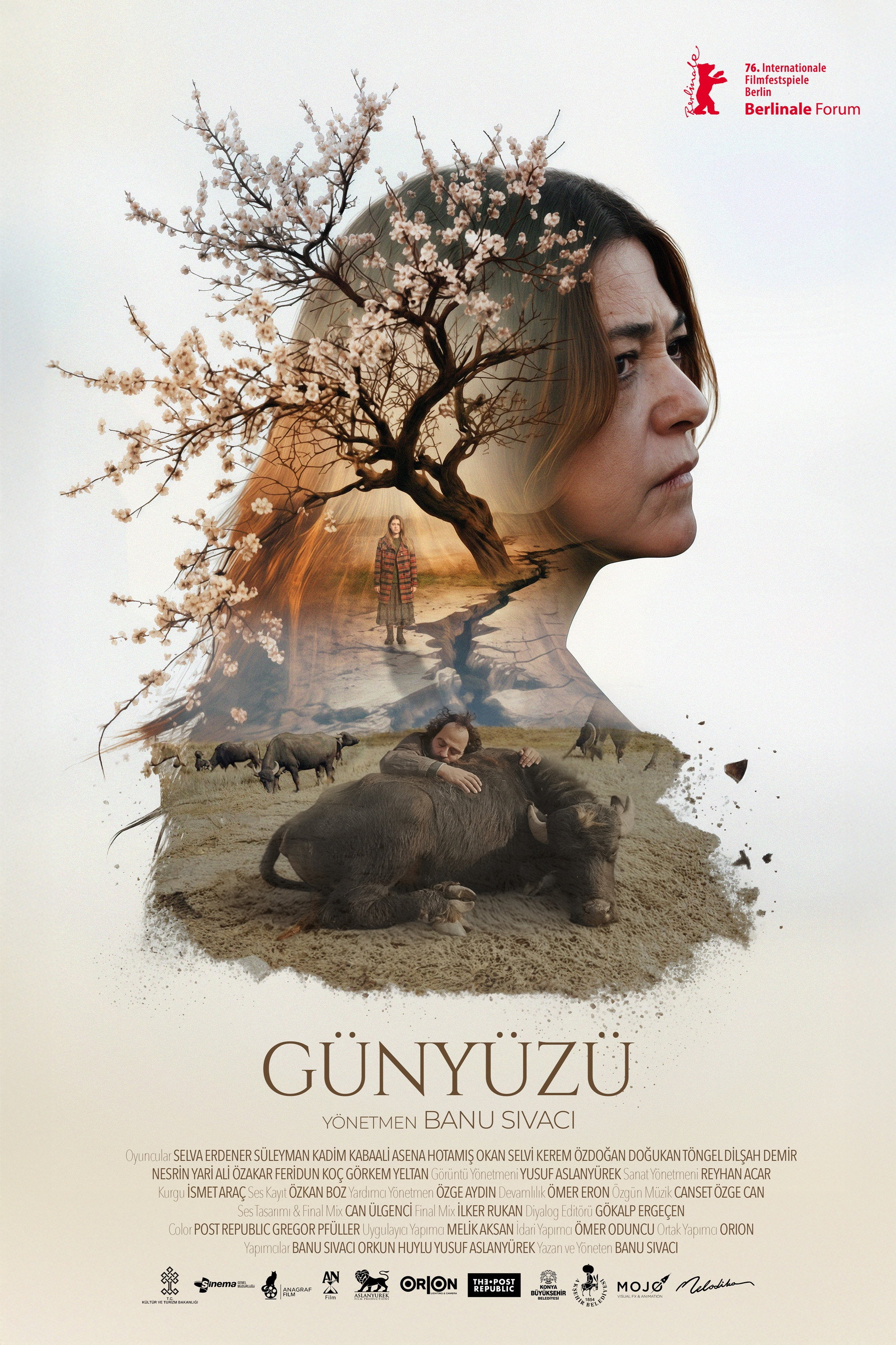 Poster de Günyüzü