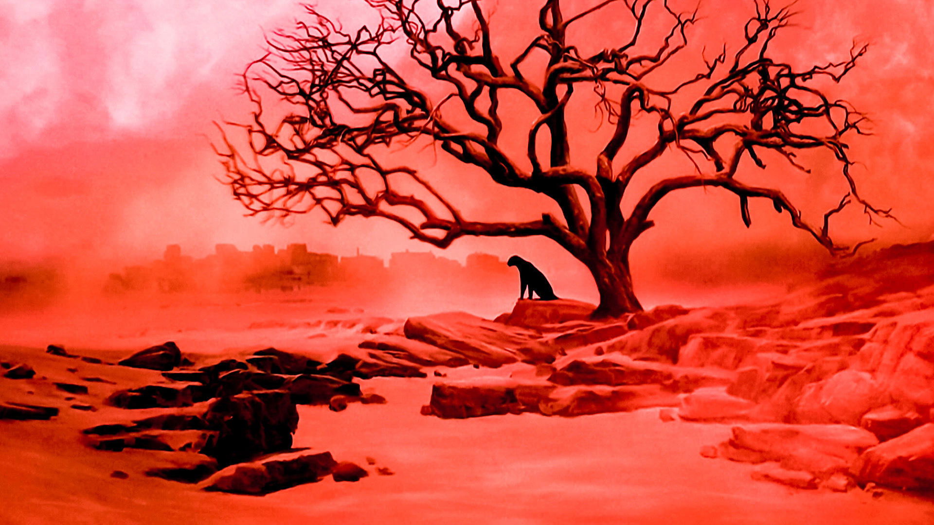 Backdrop image