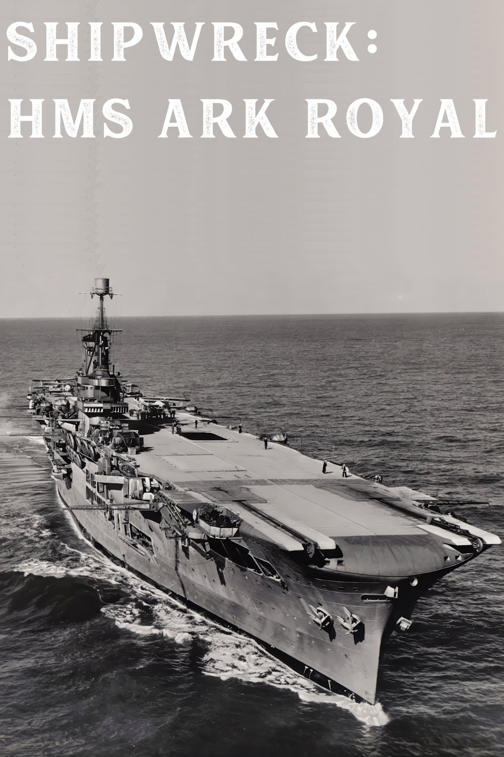 Poster de Shipwreck: Ark Royal