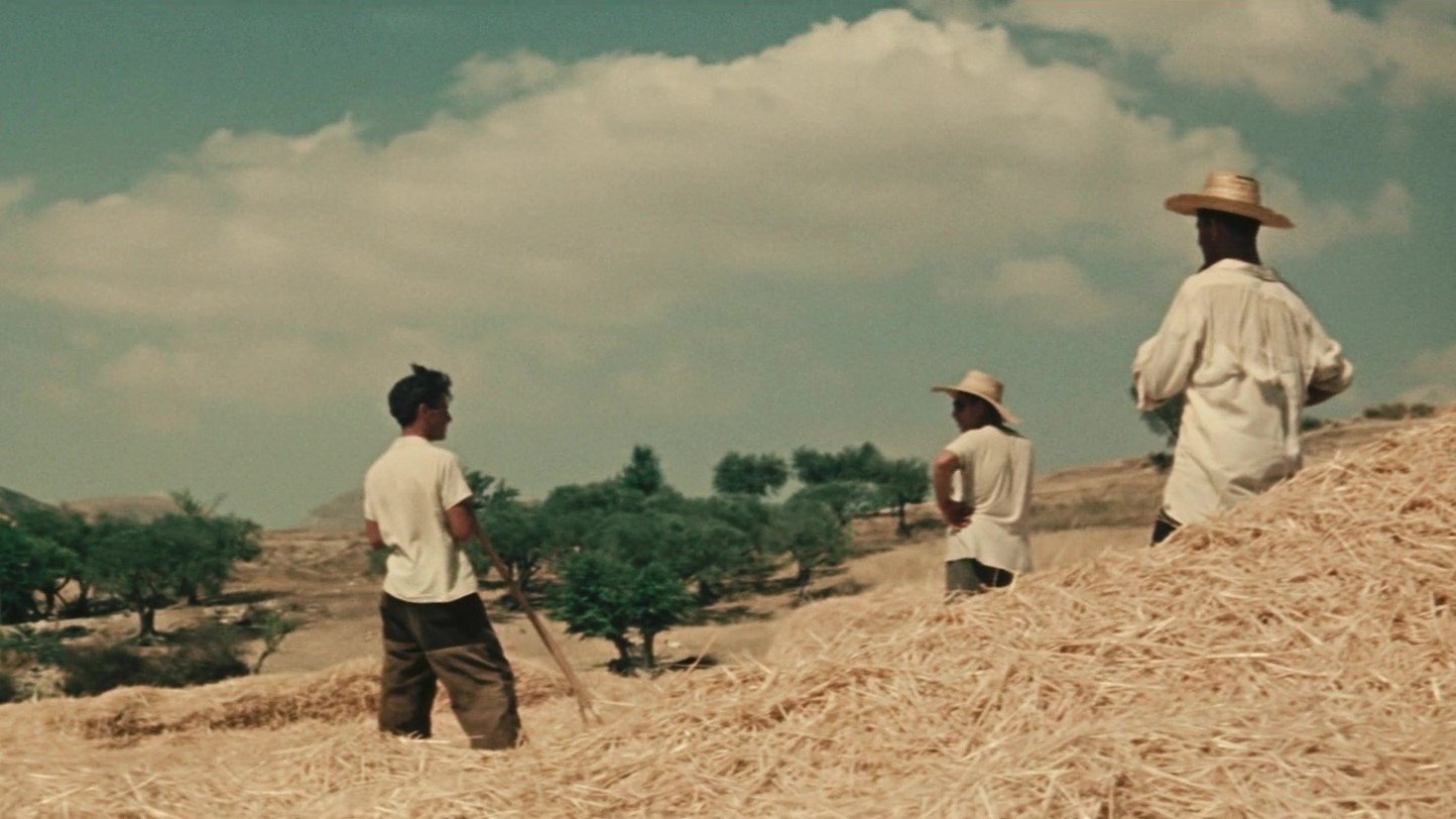 Backdrop image