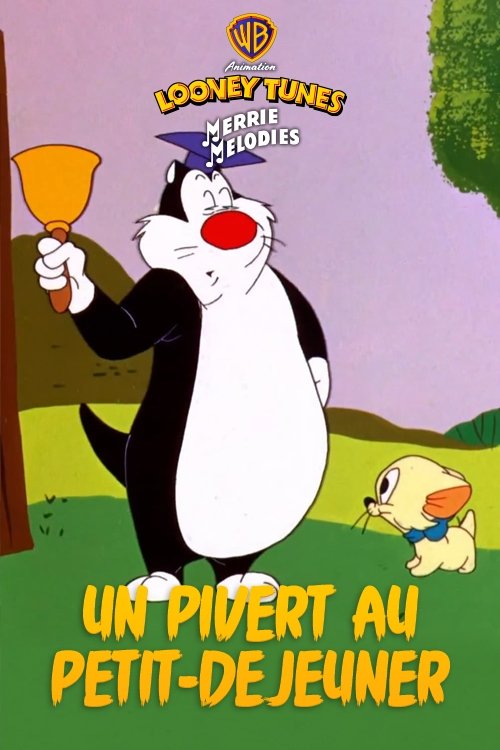 Un pivert au petit-déjeuner
