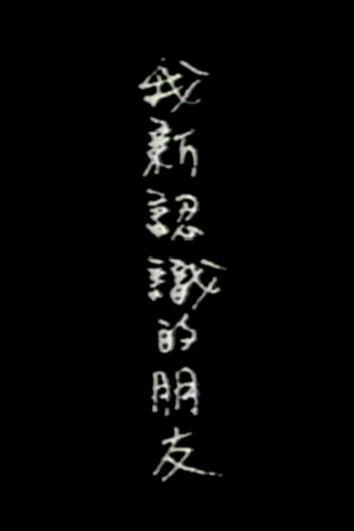 Poster de 我新认识的朋友