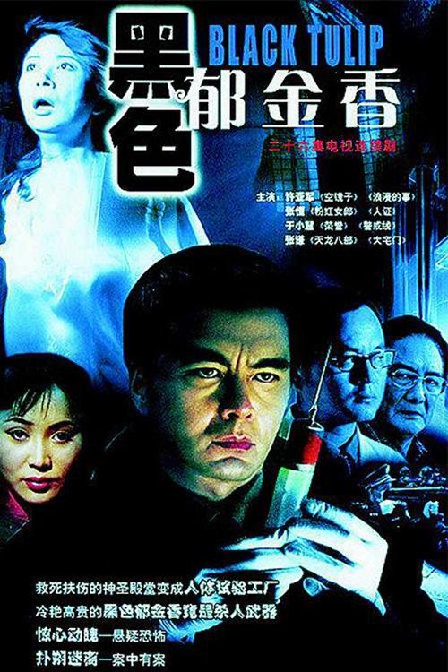 Poster de 黑色郁金香