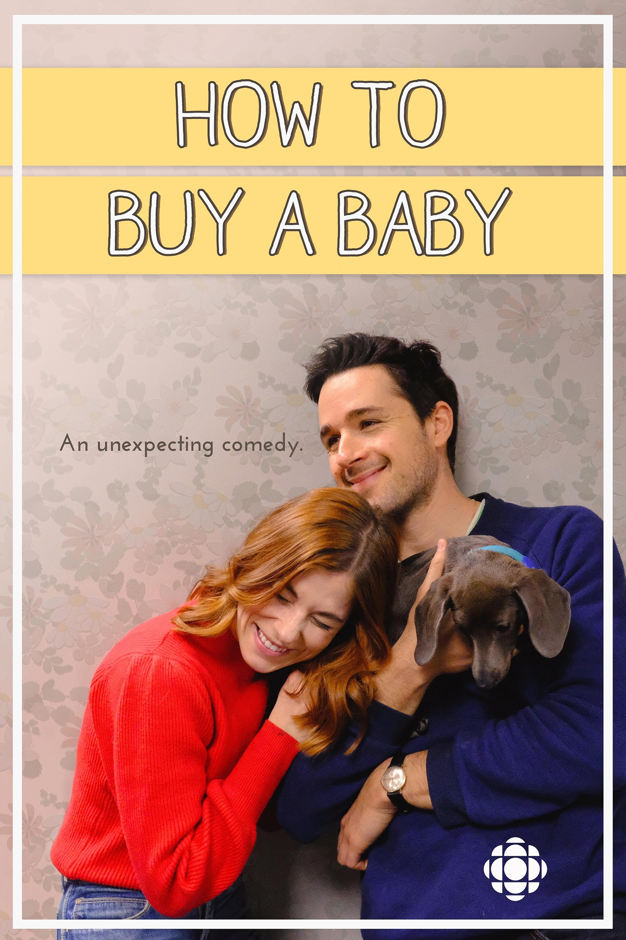 Poster de How to Buy a Baby