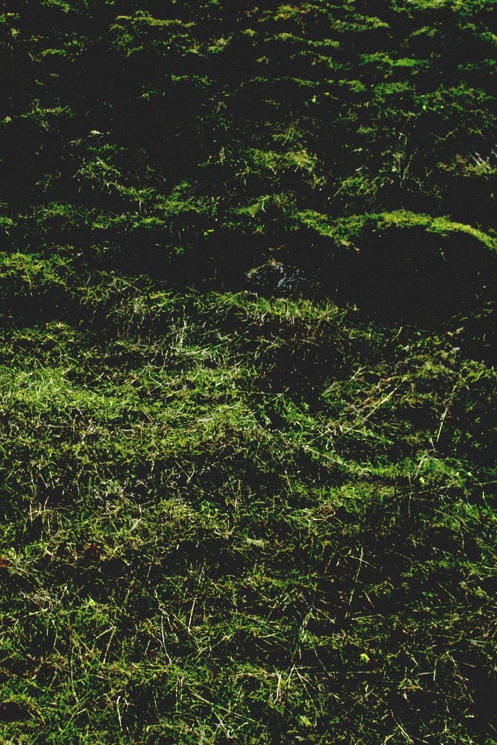 Poster de Untitled / Aubrac