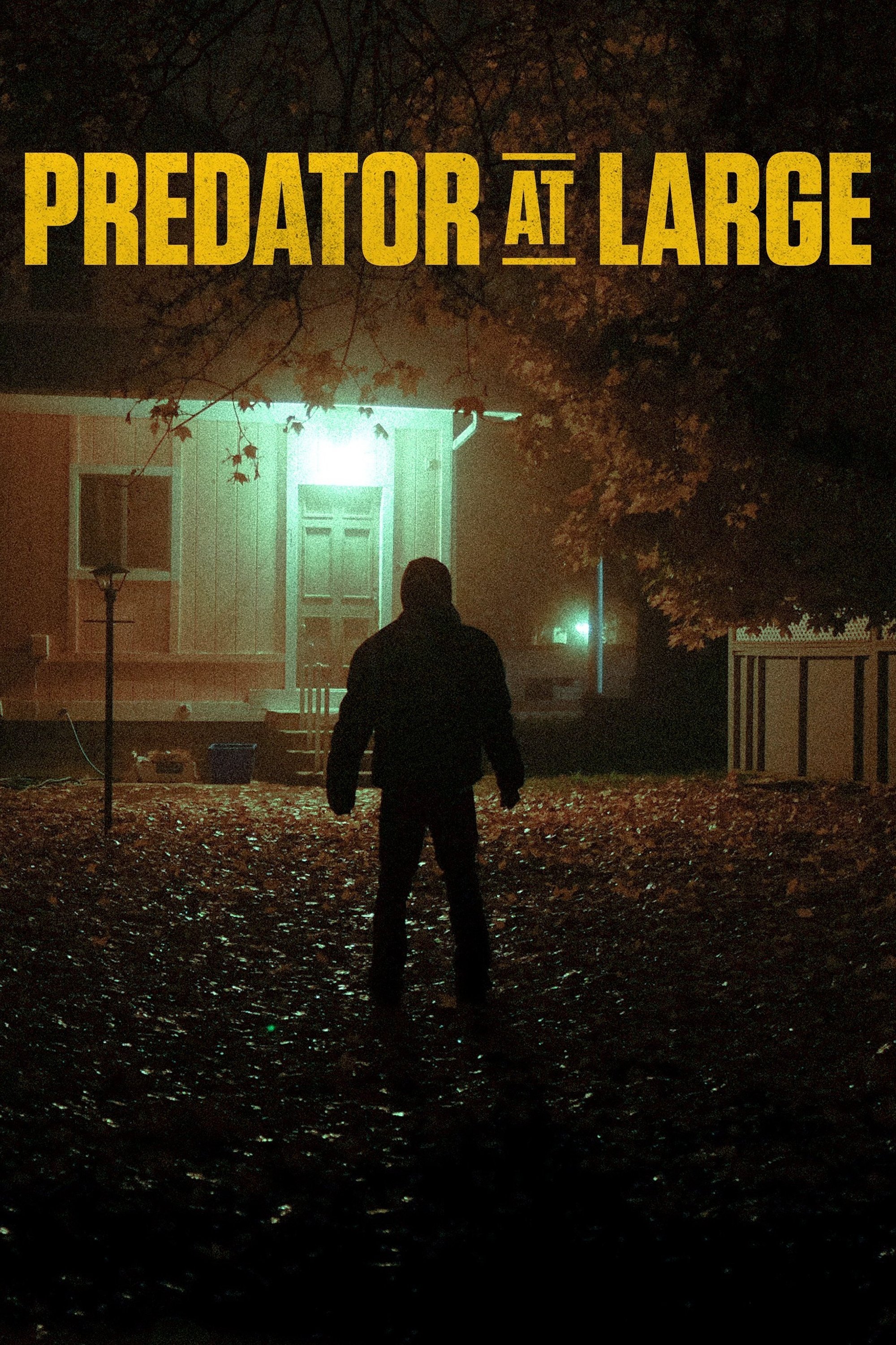 Poster de Predator at Large