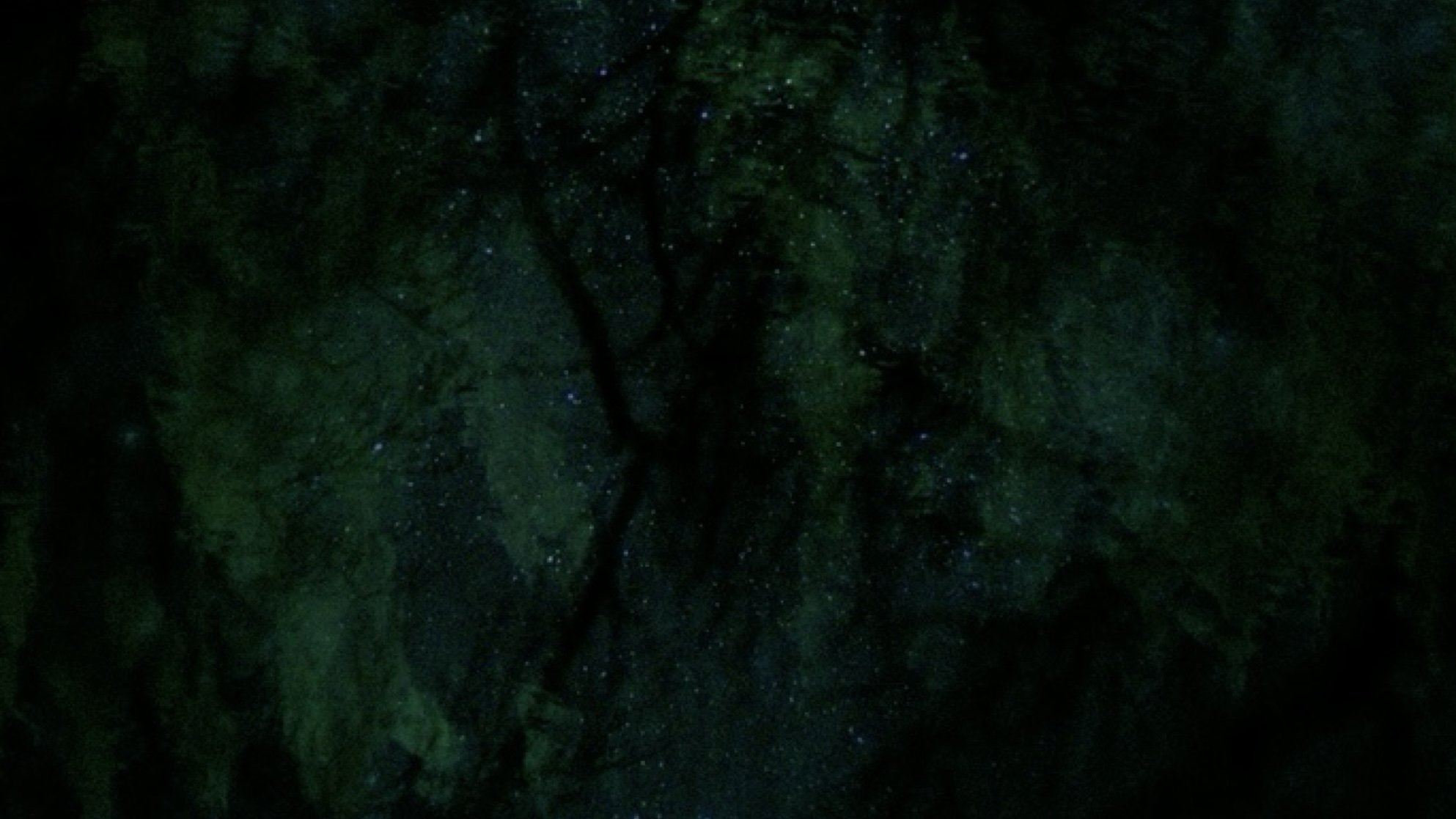 backdrops