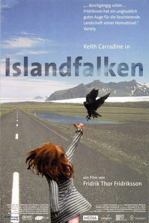 Poster de Fálkar