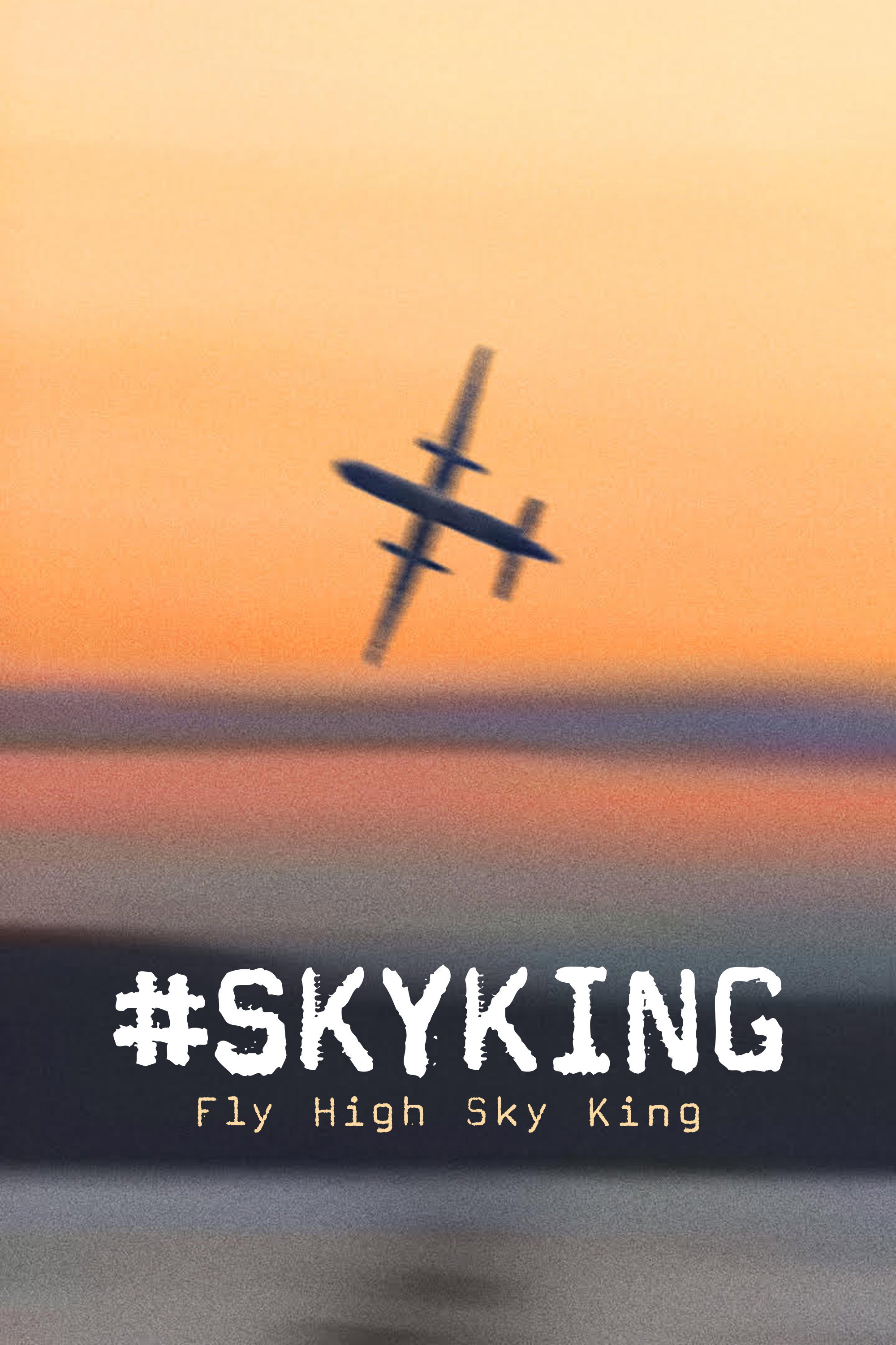 Poster de #SKYKING