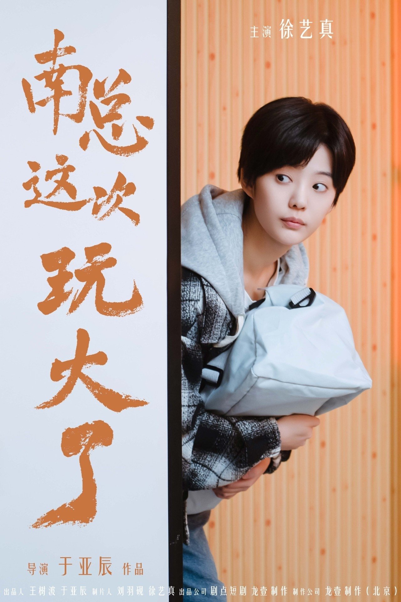 Poster de 南总这次玩大了
