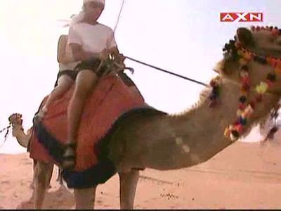 Oh My Goodness, I Have to Eat a Brain!