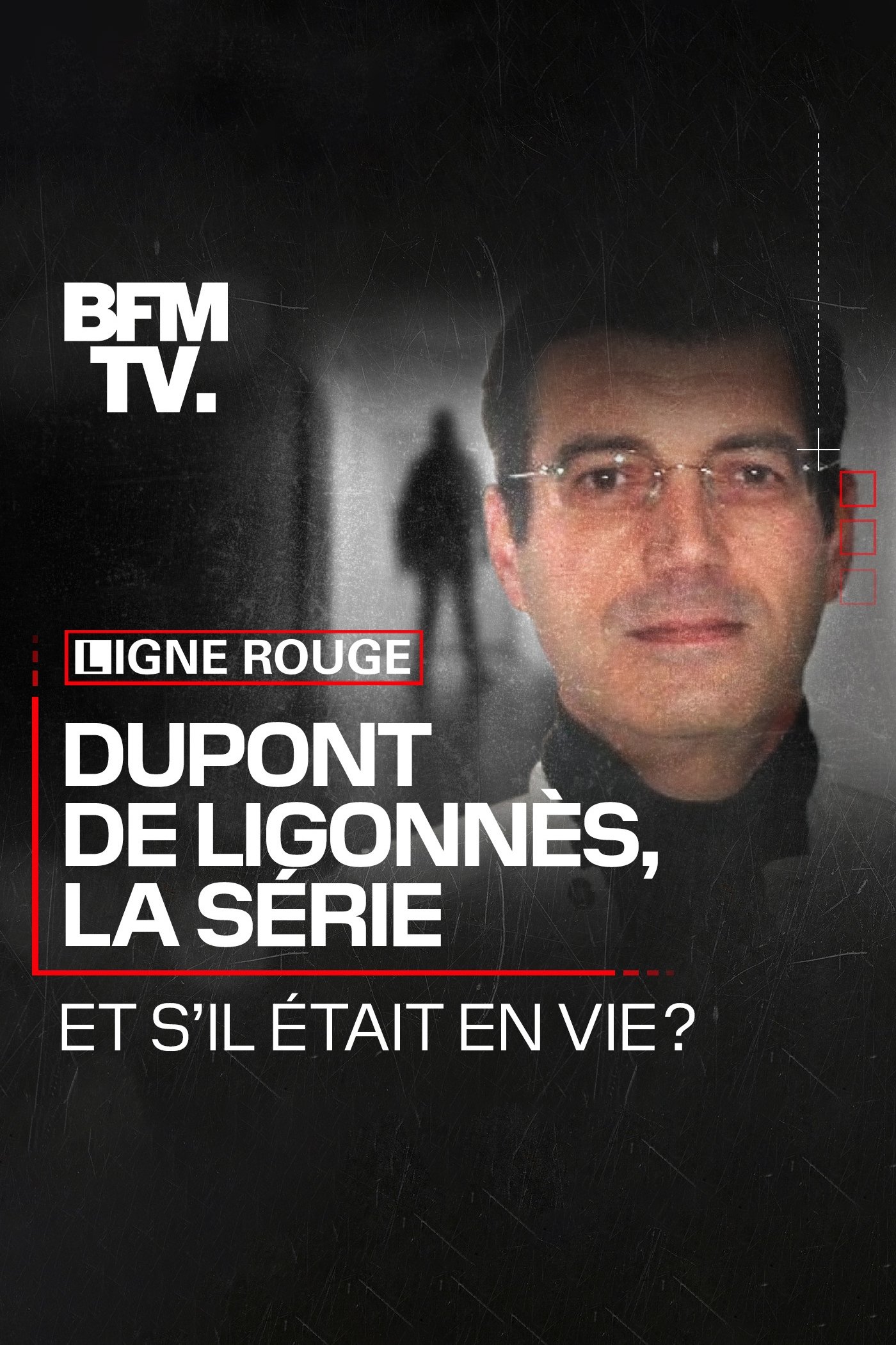 Poster de Dupont de Ligonnès, la série