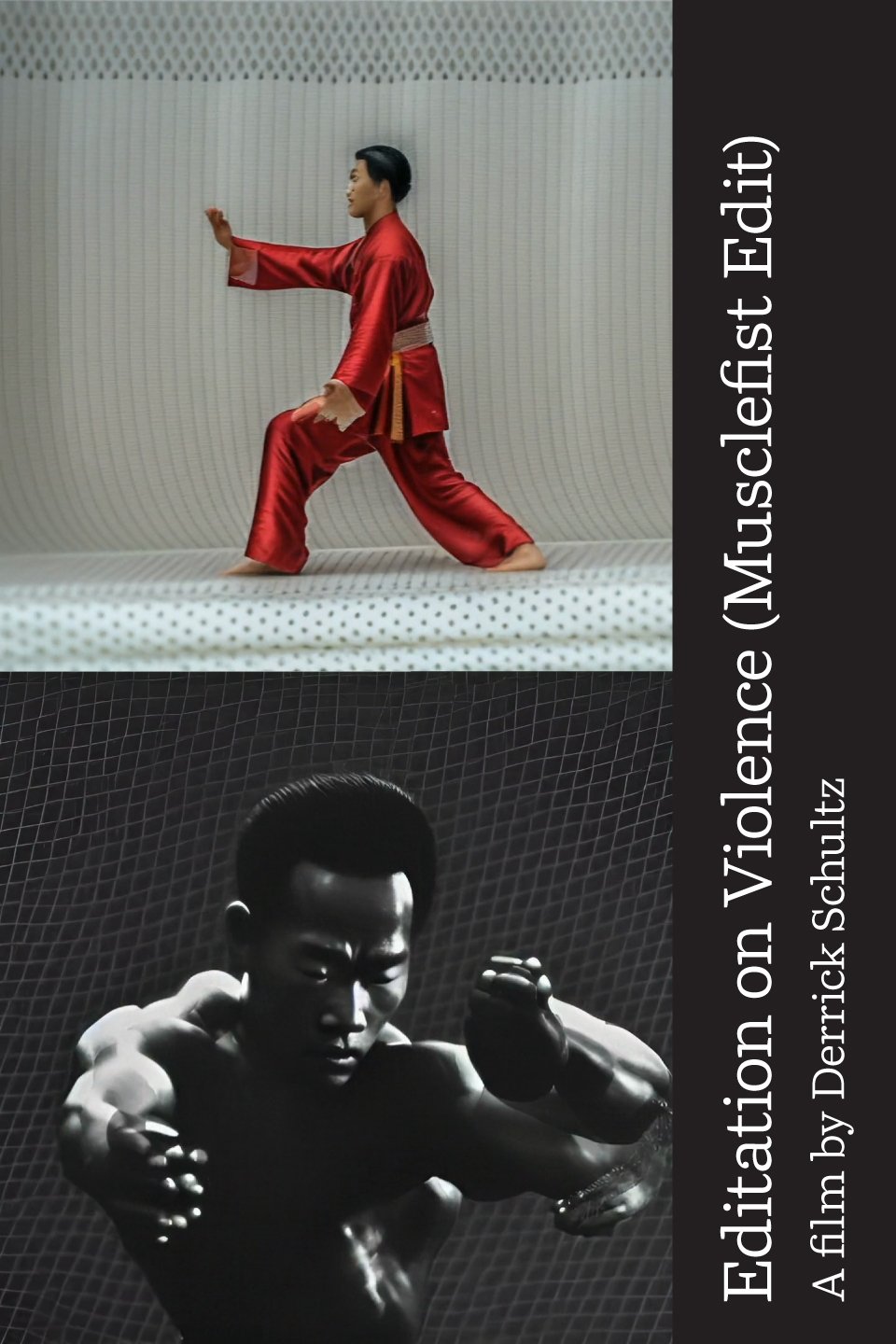 Poster de Editation on Violence (Musclefist Edit)