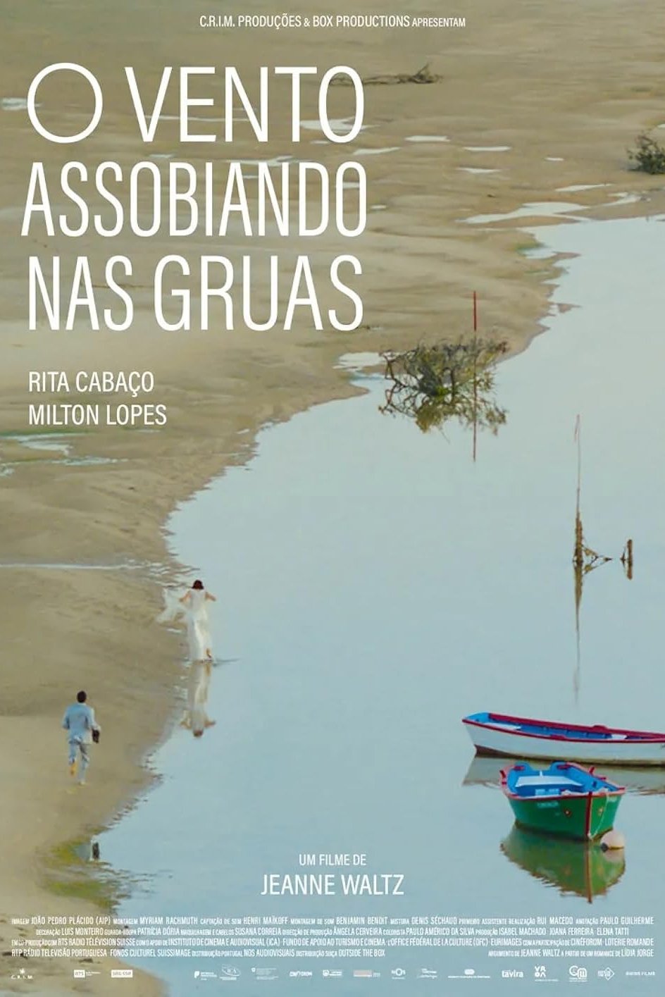 Poster de O Vento Assobiando nas Gruas
