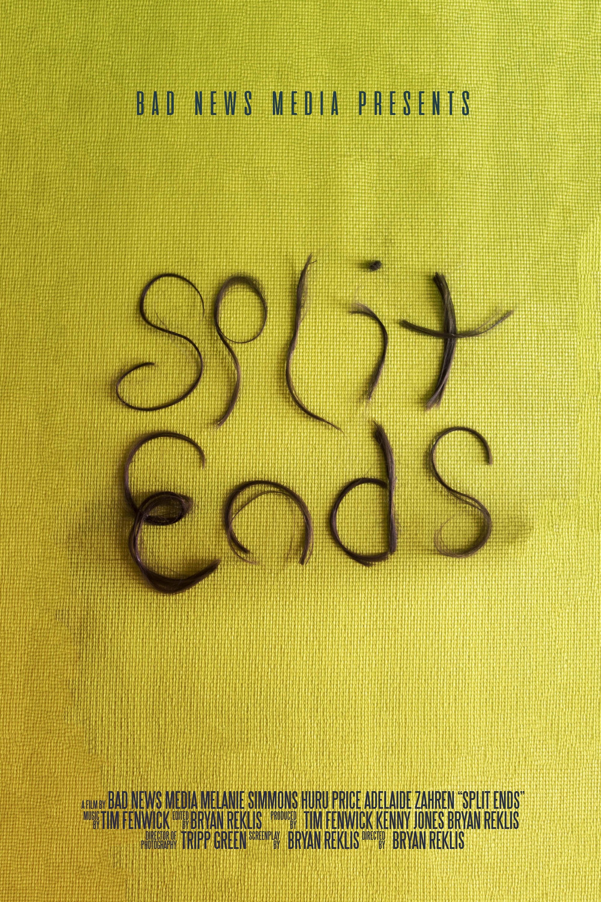 Poster de Split Ends