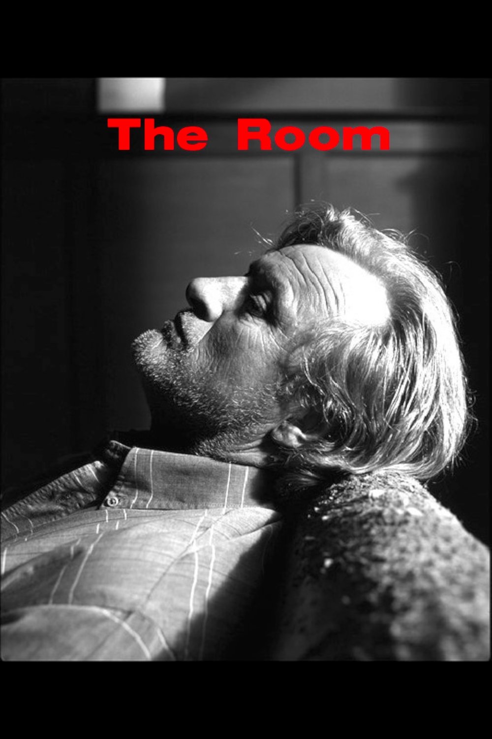 Poster de The Room