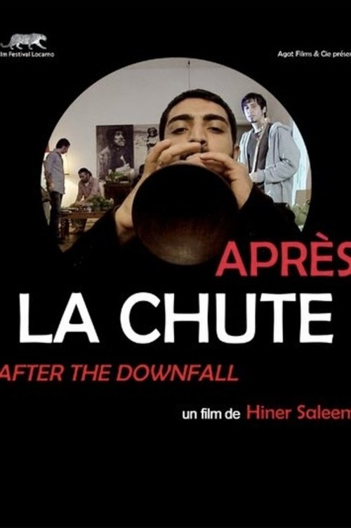Poster de Après la chute
