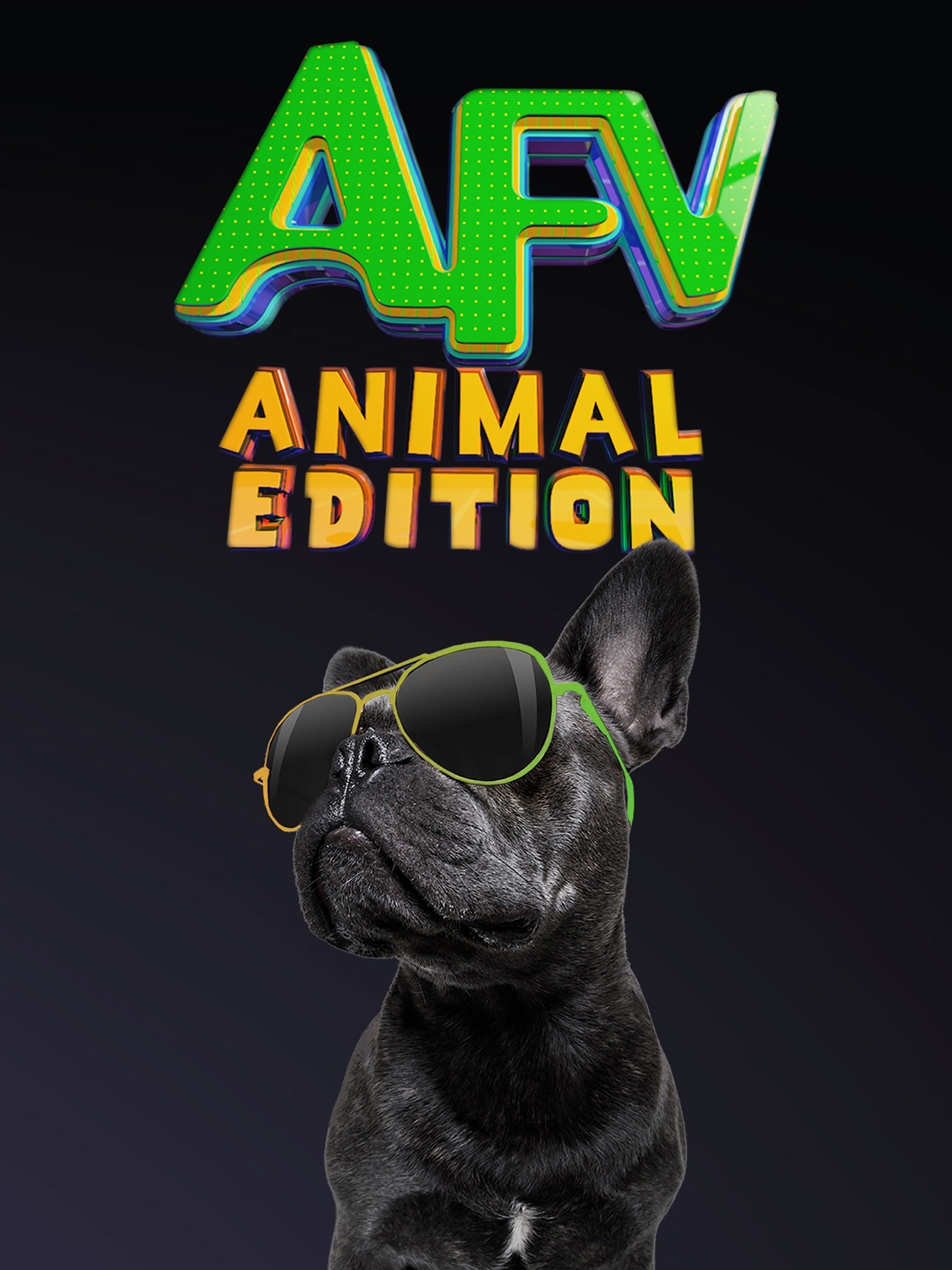 Poster for America's Funniest Home Videos: Animal Edition