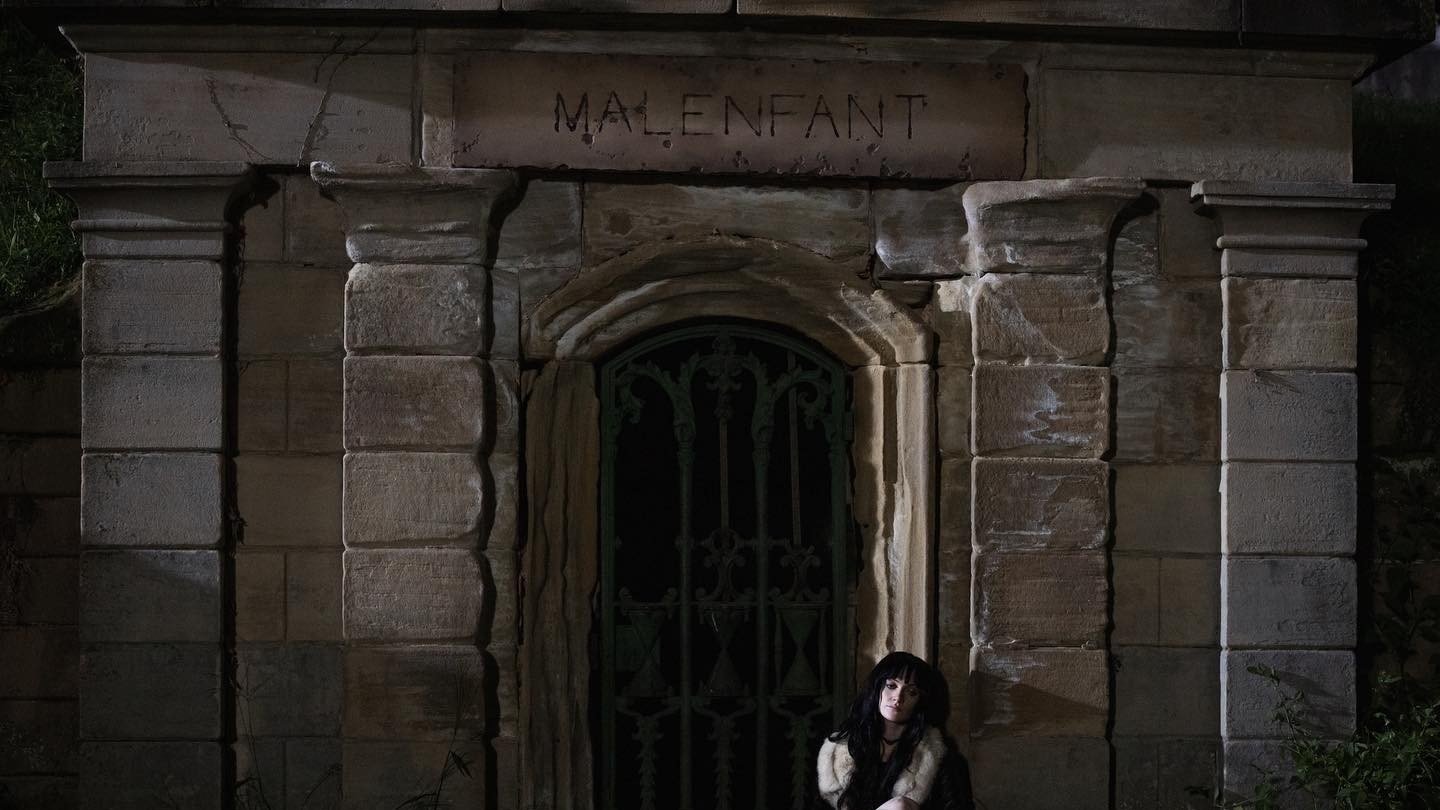 Image 3