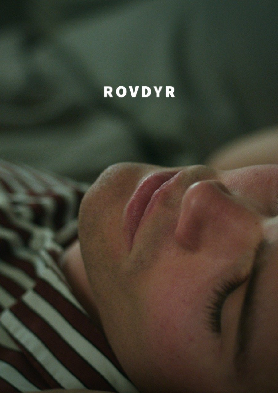 Poster de Rovdyr
