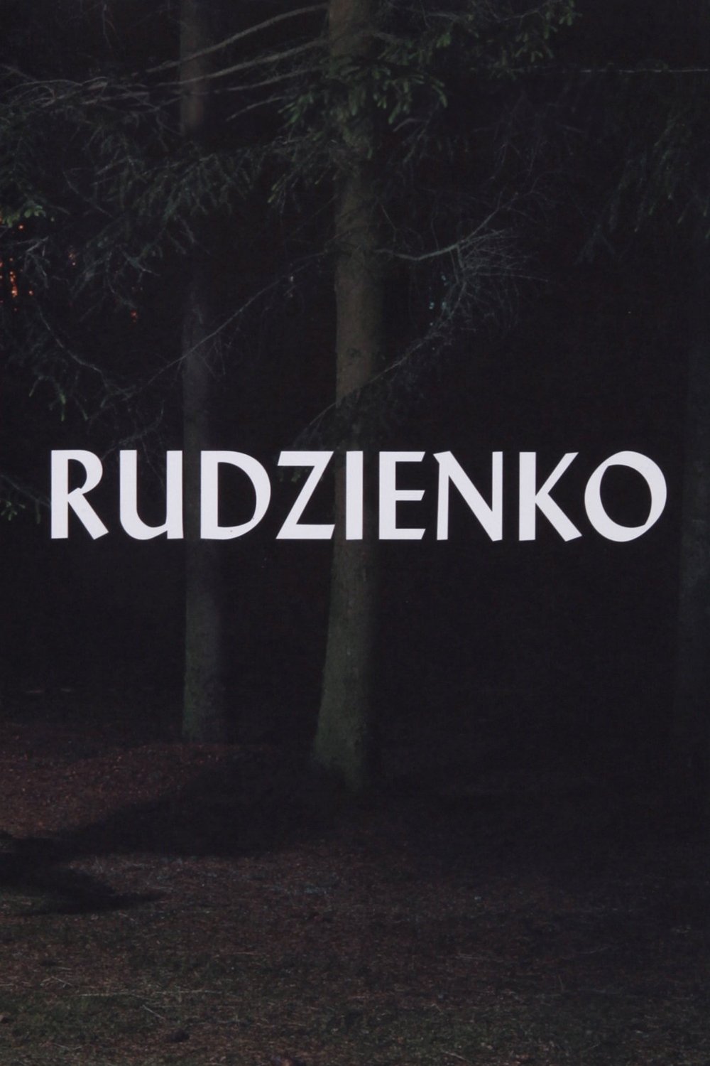 Poster de Rudzienko