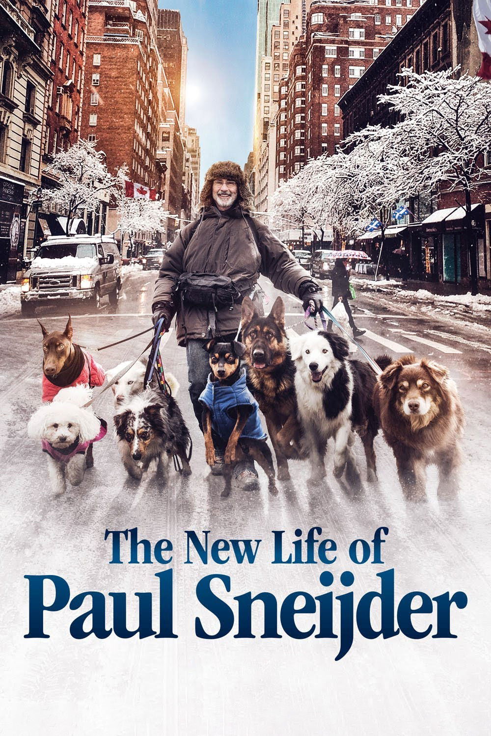Poster de The New Life of Paul Sneijder