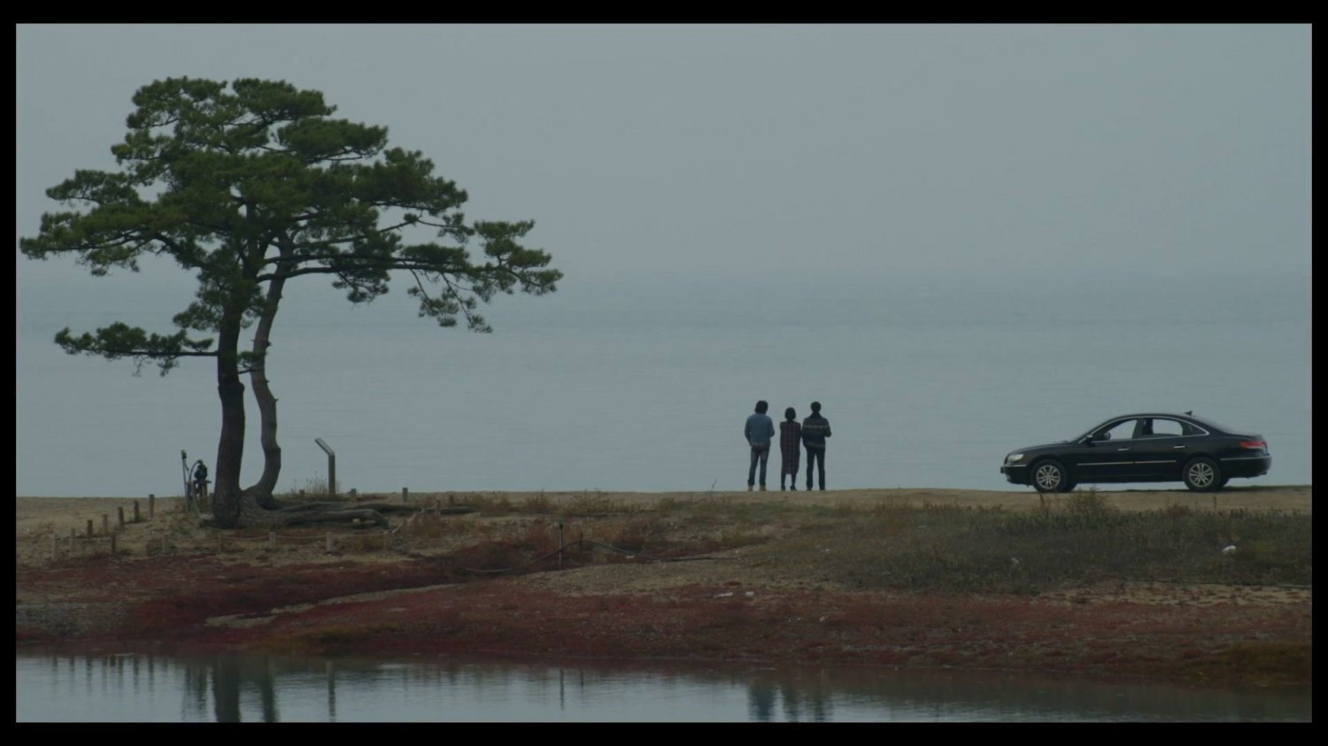 Director
