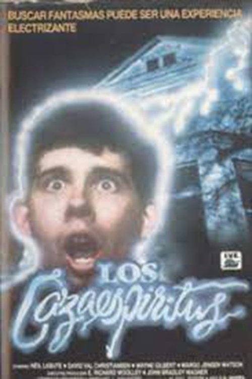Poster de High School Spirits