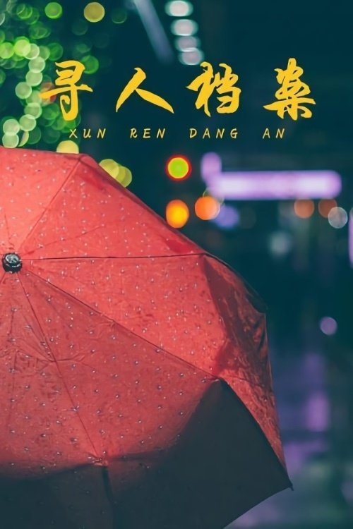 Poster de 寻人档案