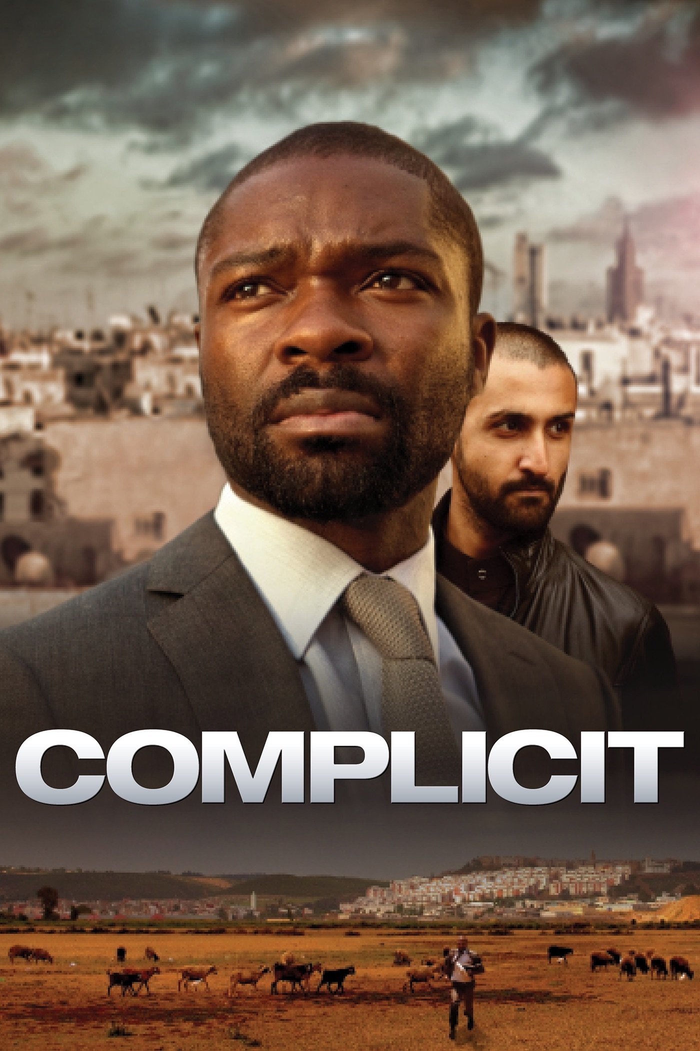 Affiche du film Complicit