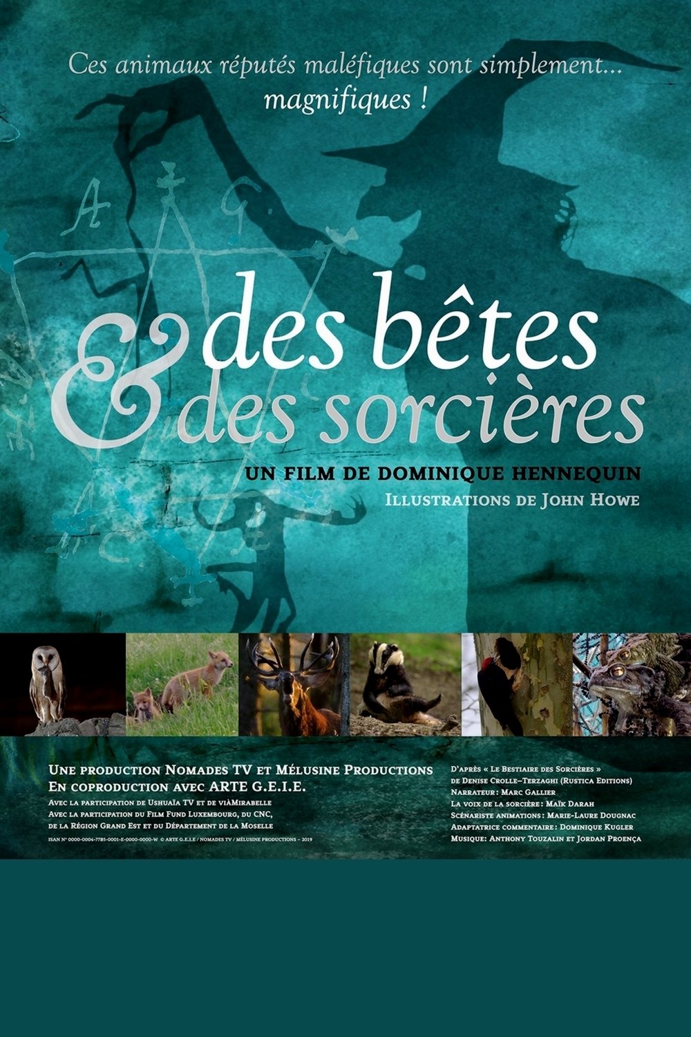 Poster de Des bêtes et des sorcières