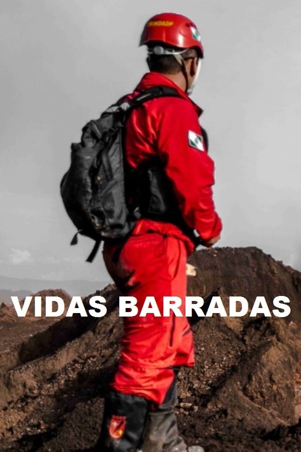 Poster de Vidas Barradas