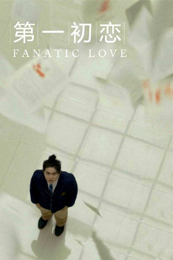 Poster de Amor Fanático