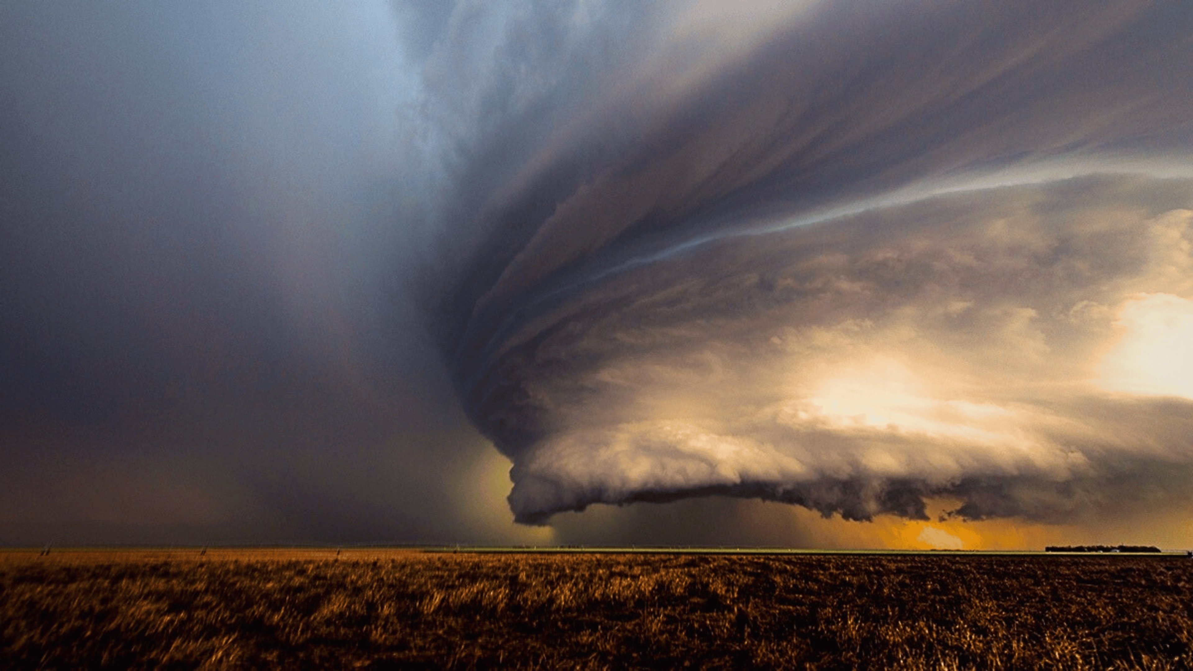Wild Sky