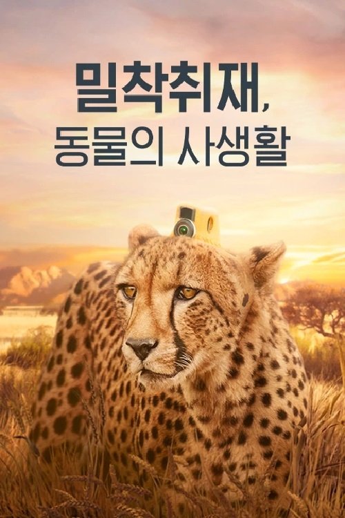 Poster de 밀착취재, 동물의 사생활