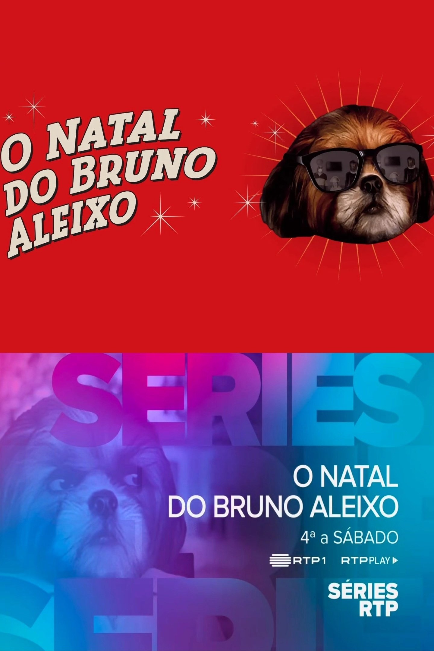 Poster de O Natal do Bruno Aleixo