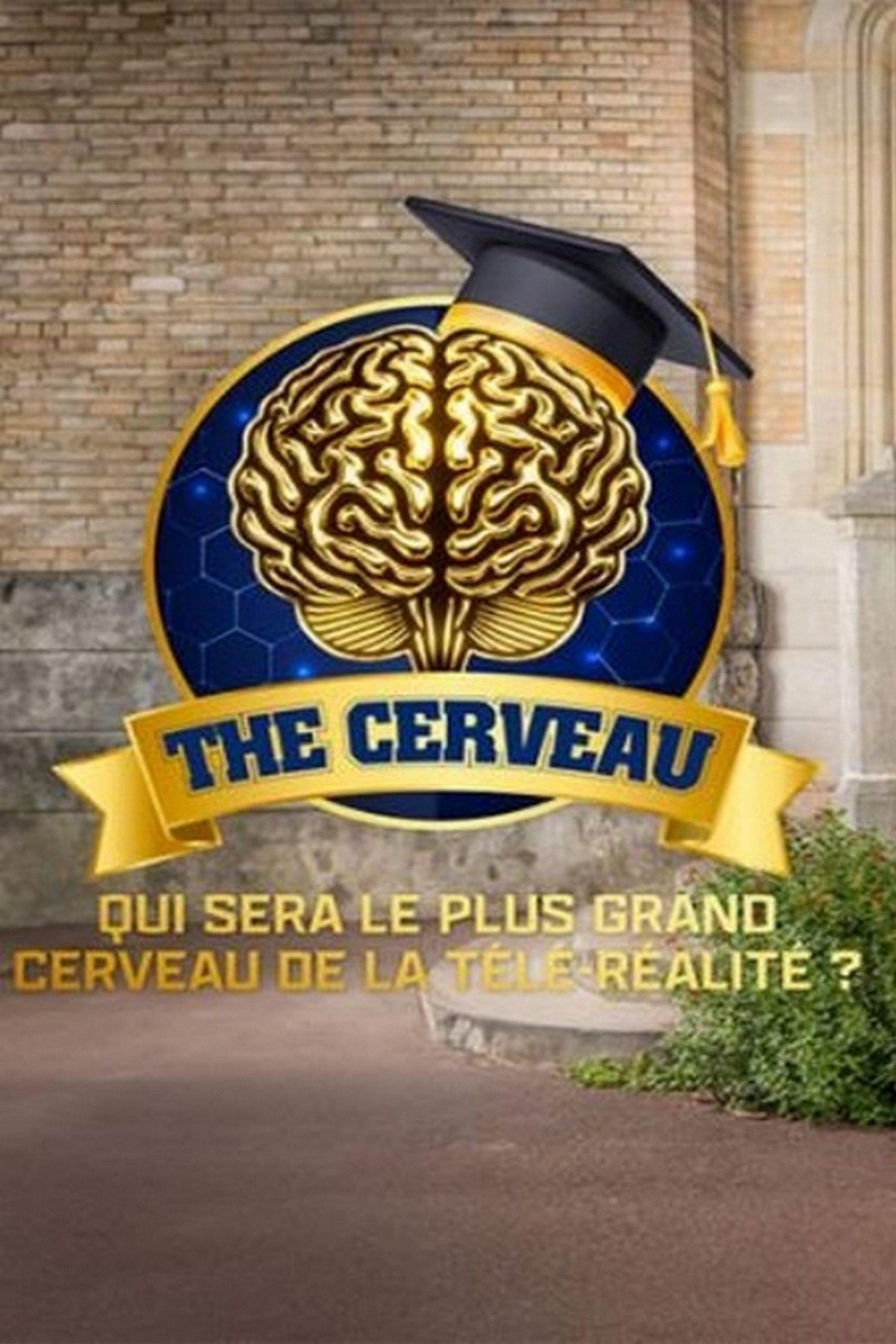 Poster de The cerveau : Qui sera le plus grand cerveau de la télé-réalité ?
