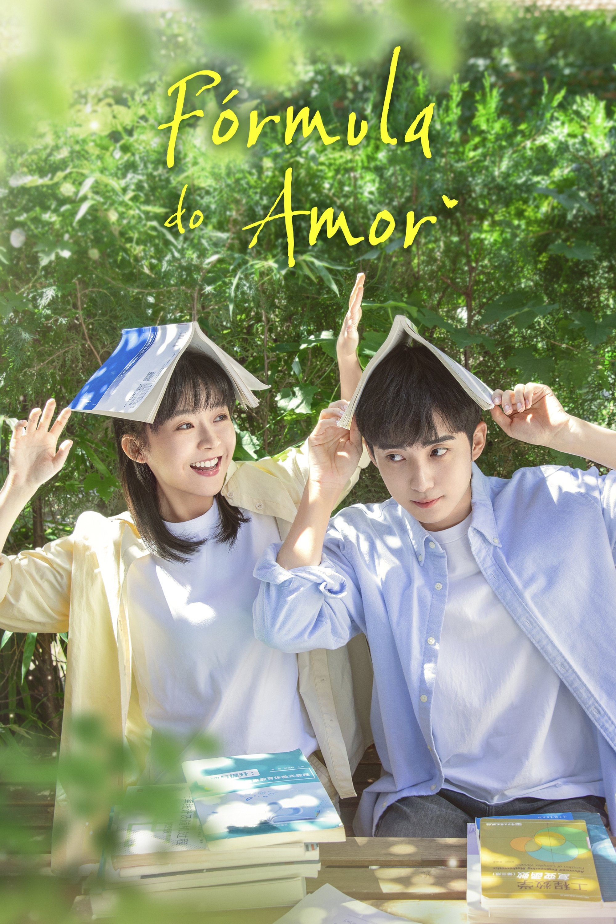 Poster de Fórmula do Amor