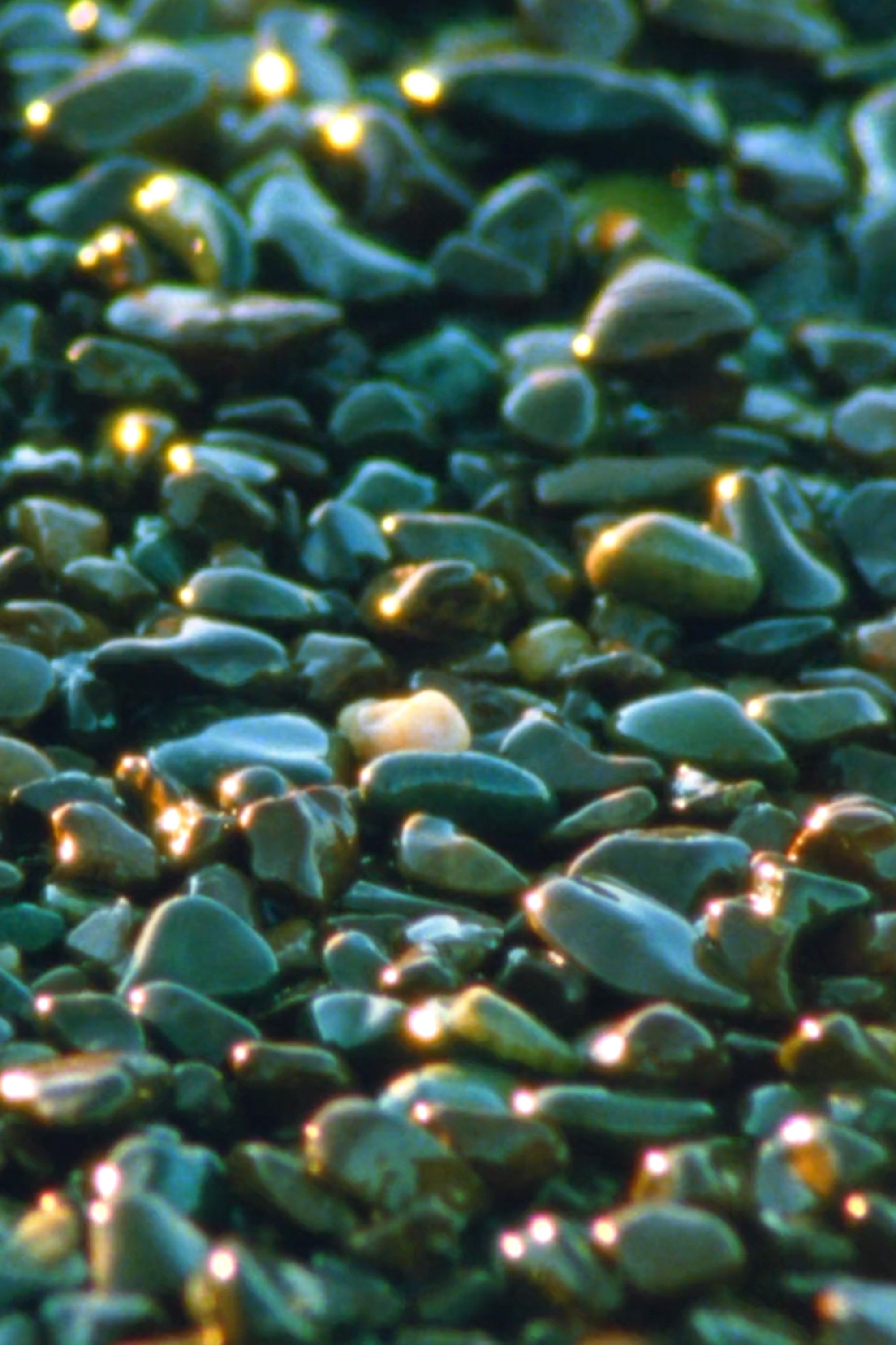 Poster de Jasper Beach and The Salt Marsh