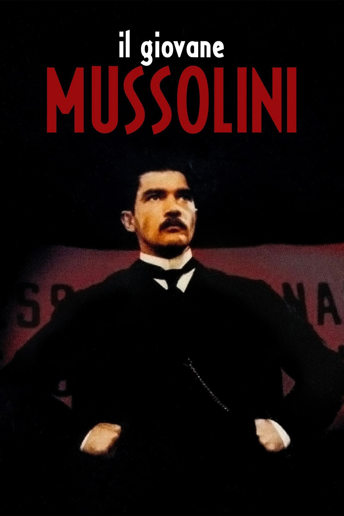 Poster de O Jovem Ditador