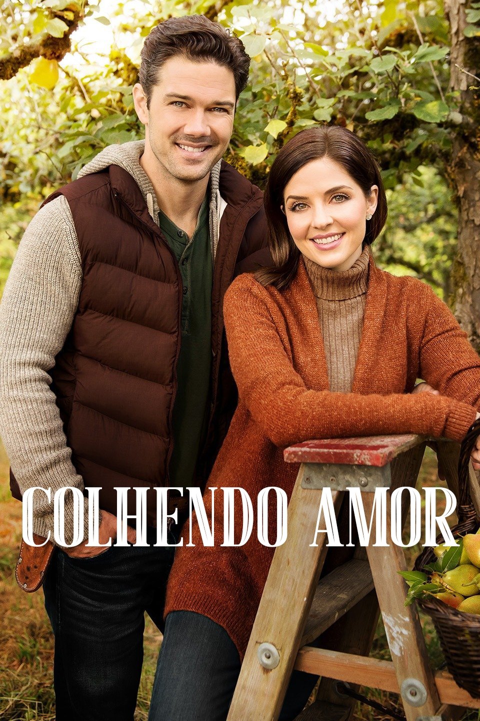 Poster de Colhendo Amor