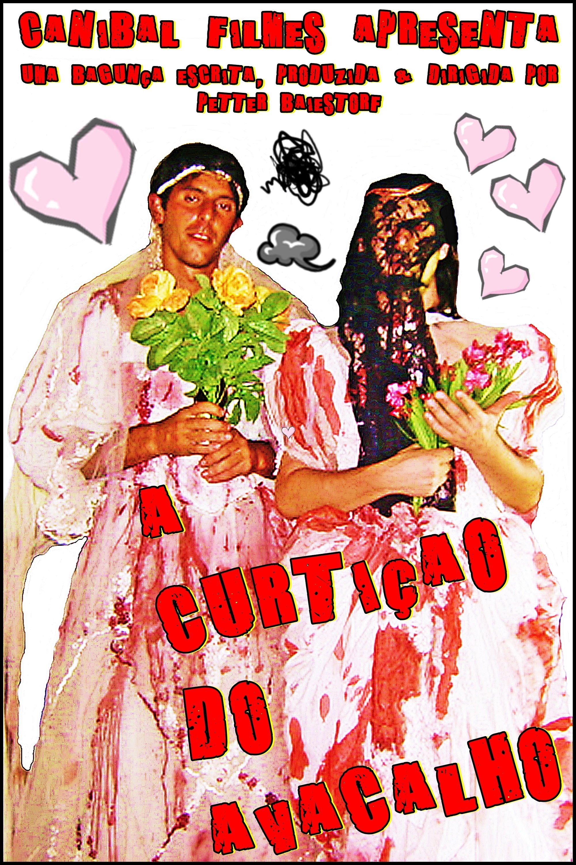 Poster de A Curtição do Avacalho