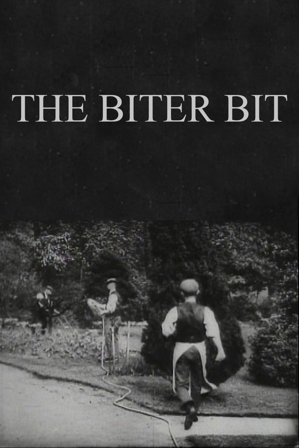 Poster for The Biter Bit