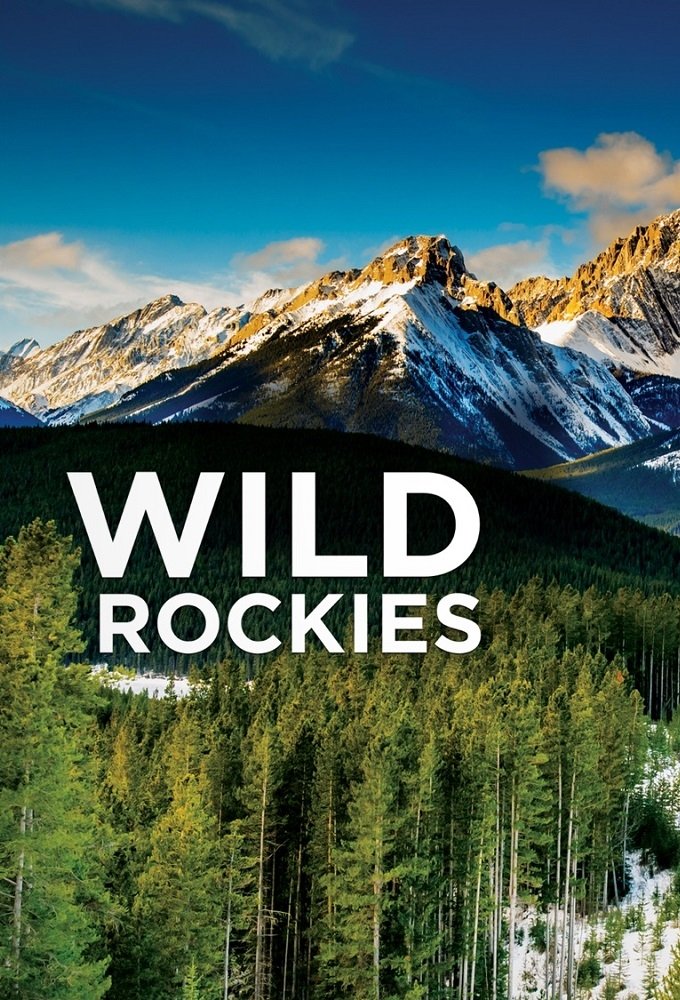 Poster de Wild Rockies