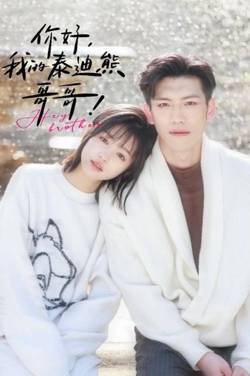 Poster de 你好我的泰迪熊哥哥