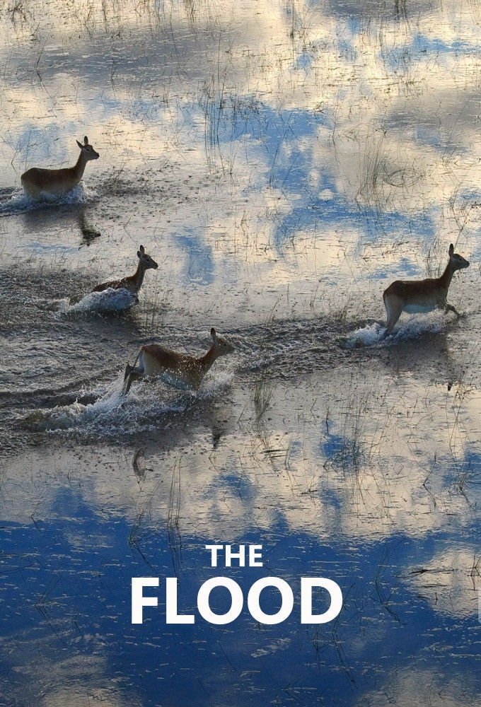 Poster de The Flood
