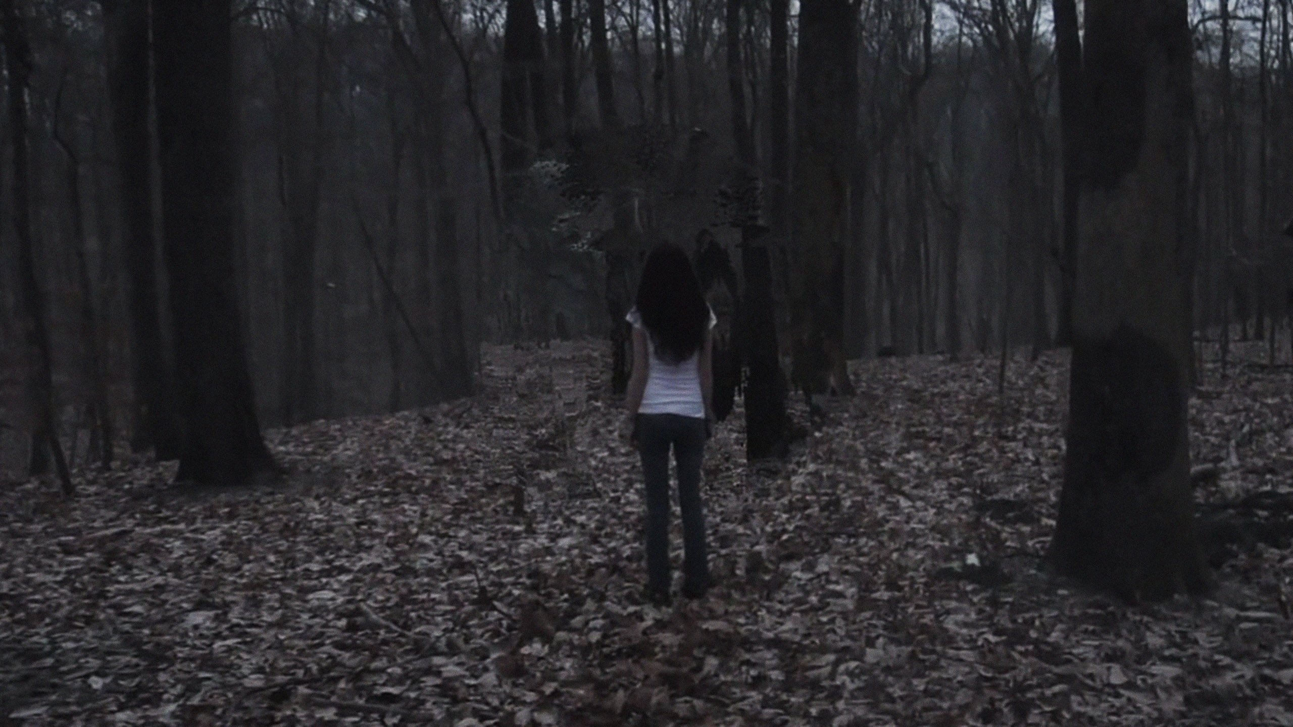 backdrops